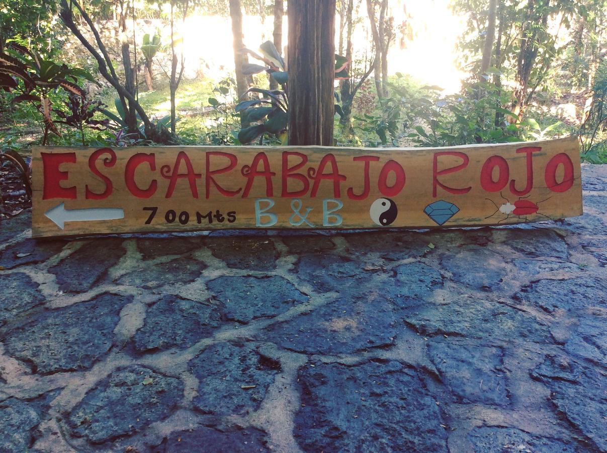 Bed and Breakfast Escarabajo Rojo Tulum Esterno foto