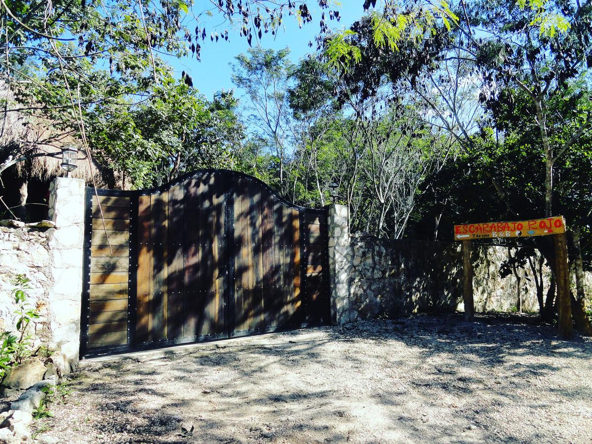 Bed and Breakfast Escarabajo Rojo Tulum Esterno foto