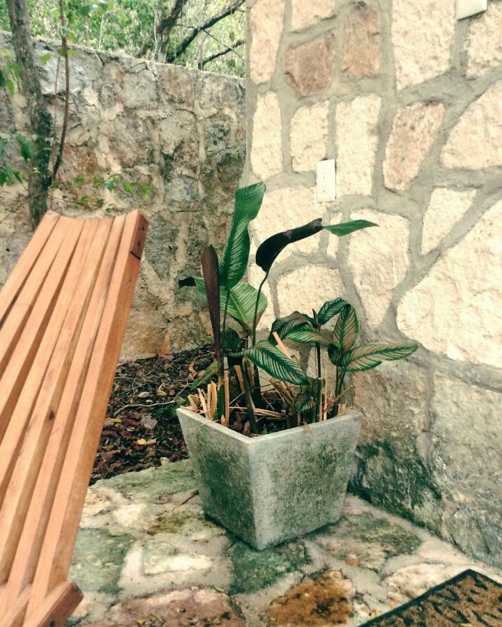 Bed and Breakfast Escarabajo Rojo Tulum Esterno foto